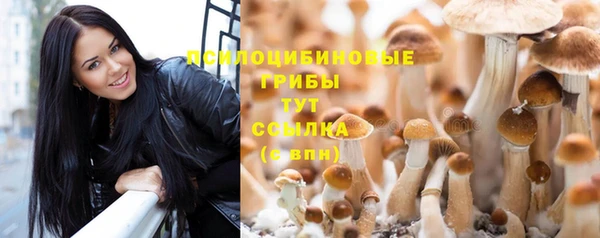 тгк Заволжск