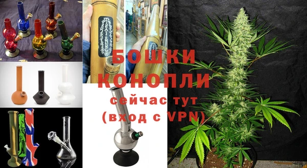 ГАЛЛЮЦИНОГЕННЫЕ ГРИБЫ Заводоуковск