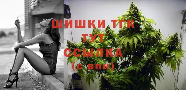 ГАЛЛЮЦИНОГЕННЫЕ ГРИБЫ Заводоуковск
