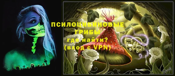 ГАЛЛЮЦИНОГЕННЫЕ ГРИБЫ Заводоуковск