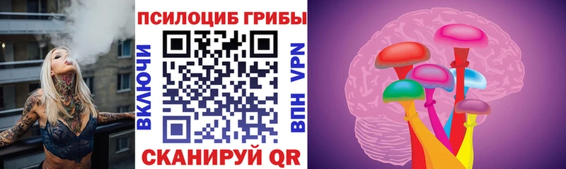 Купить  Нижневартовск  Галлюциногенные грибы прущие грибы 