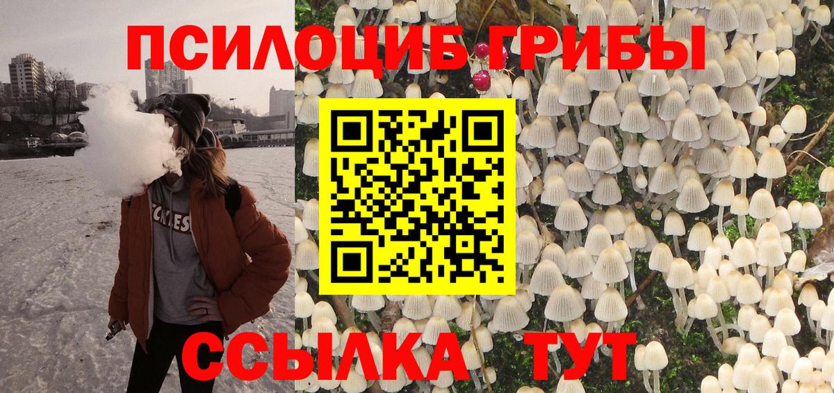 Нижневартовск  Галлюциногенные грибы Psilocybe  Вход с VPN 