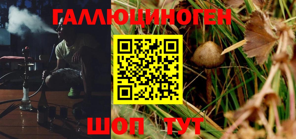 Галлюциногенные грибы GOLDEN TEACHER  Нижневартовск 