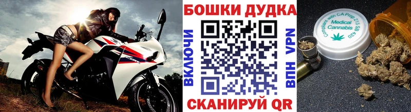 Купить где  Нижневартовск  Канабис план 